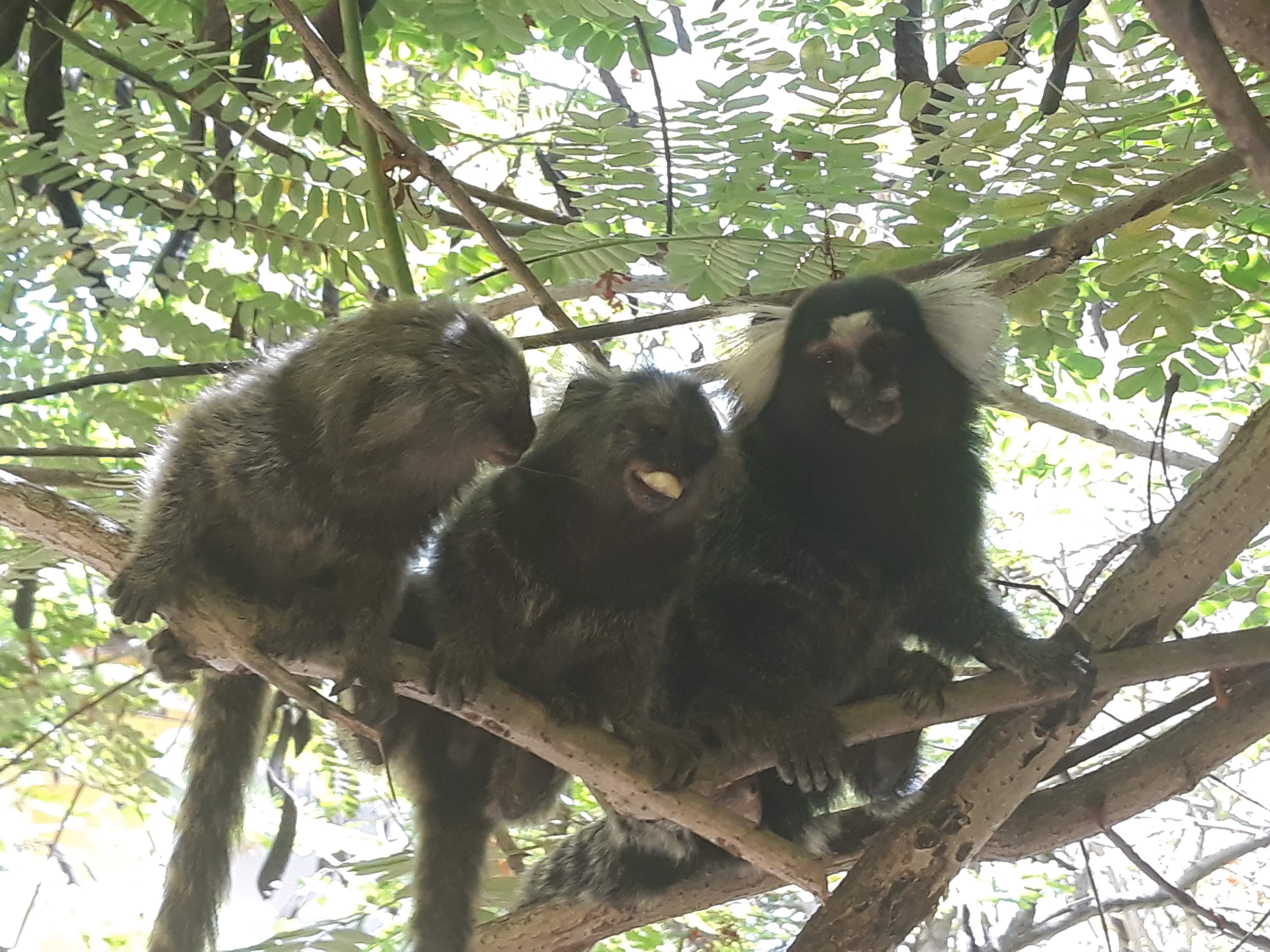 Aguamarinha Pousada Pôrto das Galinhas Exteriér fotografie